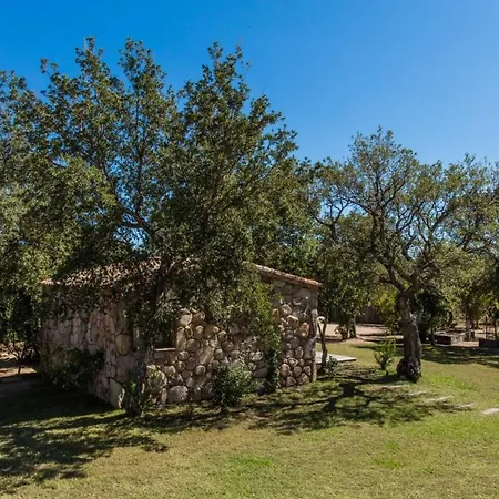 Maison D'Une Chambre Avec Piscine Partagee Jacuzzi Et Jardin Clos A Porto Vecchio A 2 Km De La Plage *